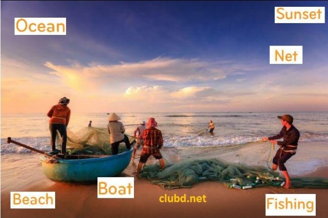 In the picture ocean, fishing, beach, sunset and boat 94%