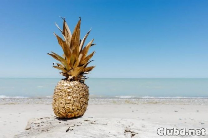 On the beach in the sand lies a pineapple in front of the ocean 94%