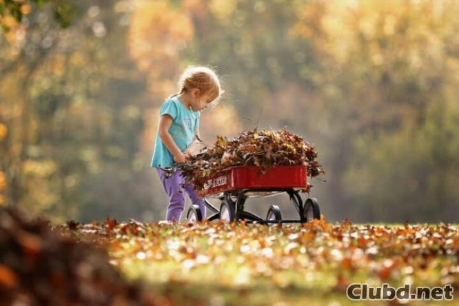 Kind im Herbst im Wald 94% Bild