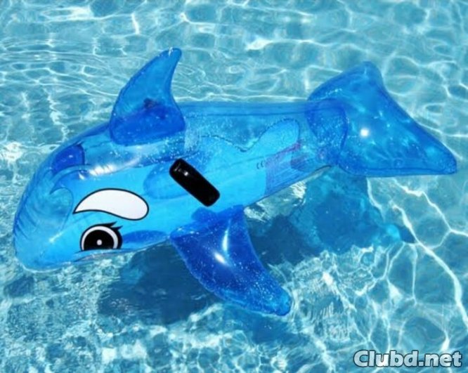 Inflatable dolphin in the pool - picture