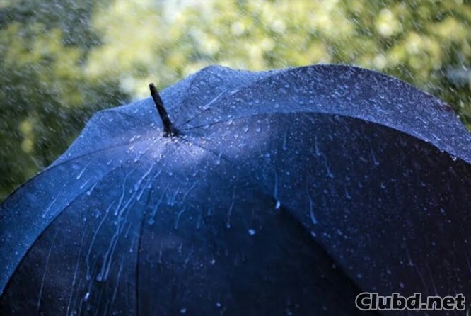 Blue Umbrella - picture