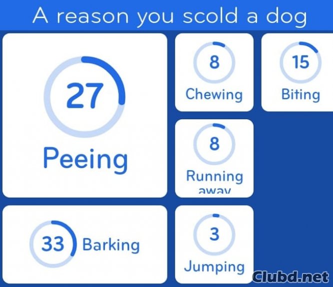 A reason you scold a dog 94%
