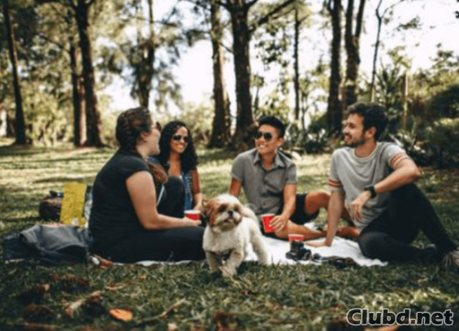 Freunde auf einem Picknick im Wald - Bild