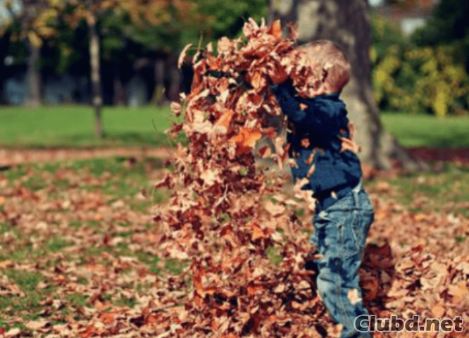 Niño está jugando con hojas - imagen