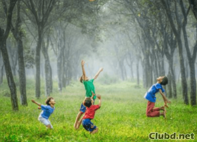 Kinder spielen auf dem grünen Rasen - Bild