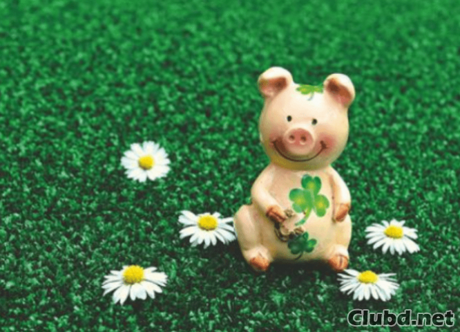 Cerdo feliz de cerámica - imagen
