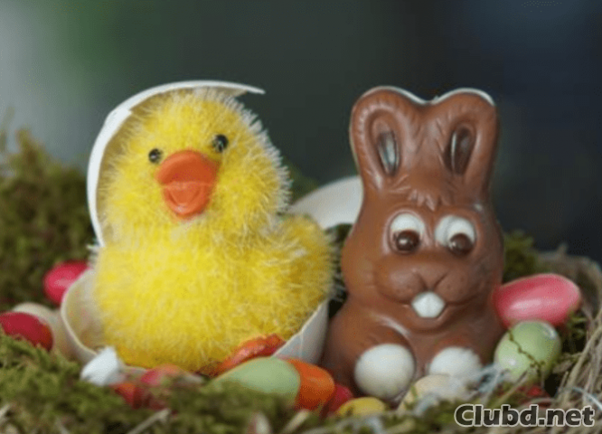 Conejito De Pascua De Chocolate - imagen