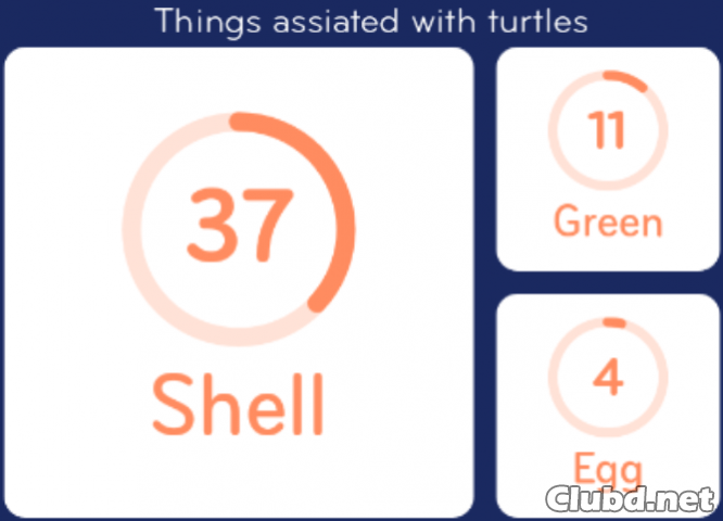 Things assiated with turtles
